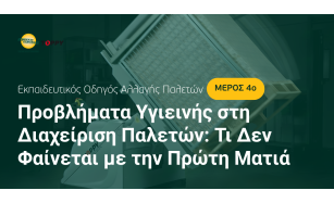 Προβλήματα υγιεινής στη διαχείριση παλετών: Τι δεν φαίνεται με την πρώτη ματιά
