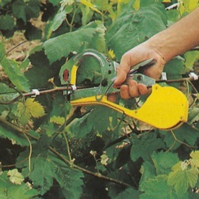 Στερέωση - Συγκράτηση